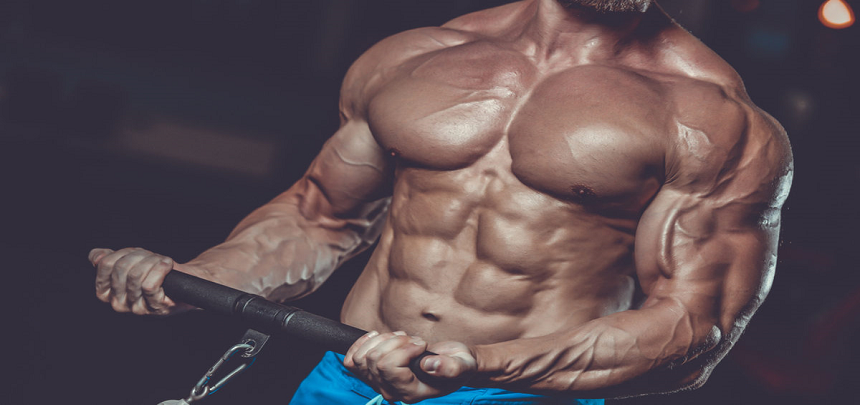Anabolic Steroids – Uses, Efficacy, Abuse, and Side Effects