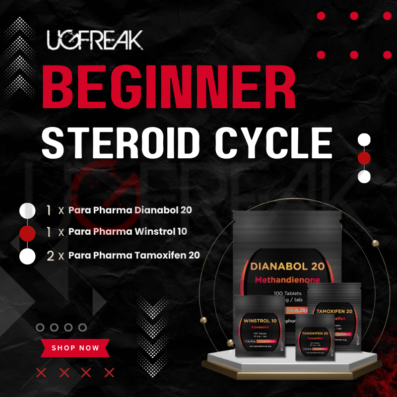 Beginner Steroid Cycle