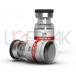 L-Carnitine 500 Dragon Pharma INTL