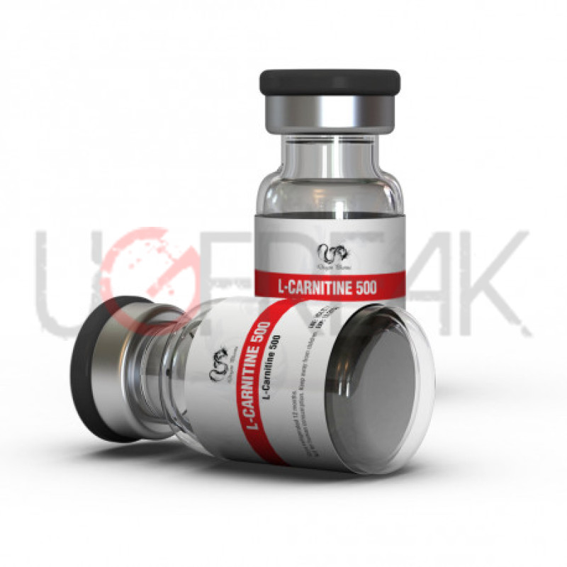 L-Carnitine 500 Dragon Pharma INTL