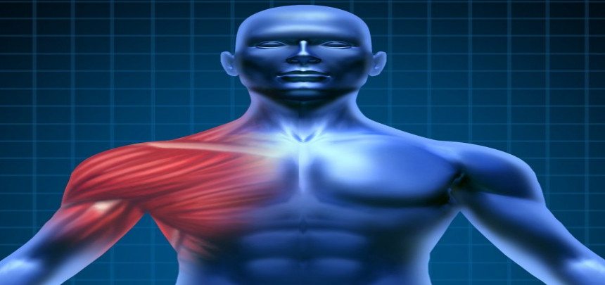 Muscle soreness: friend or enemy?