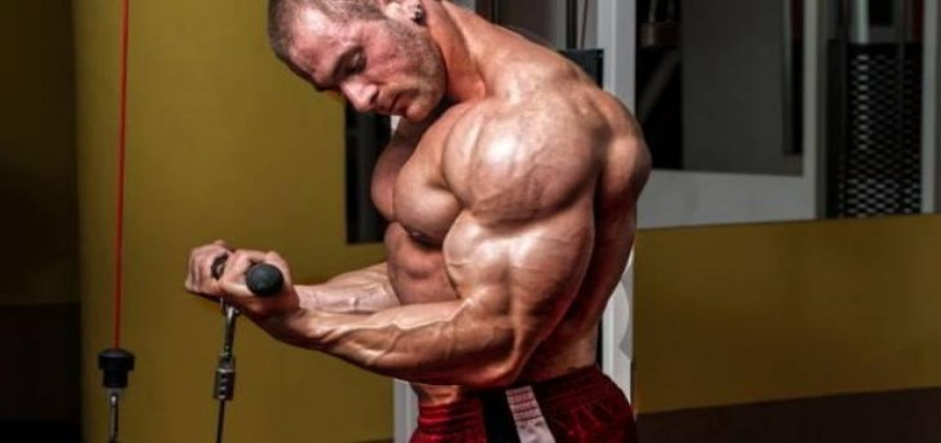 The Science Behind Losing Fat and Gaining Muscles