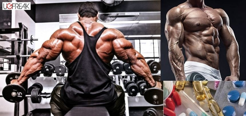 Top 10 Strongest Anabolic Steroids for Bodybuilding In 2023