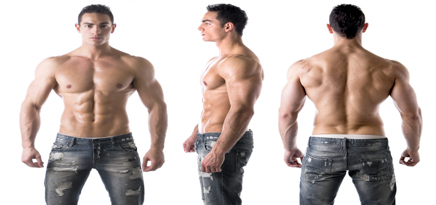 Understanding the Science Behind Building Muscles